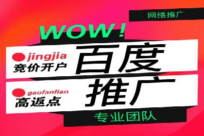 SEM运营案例：如何打造成功的广告投放策略